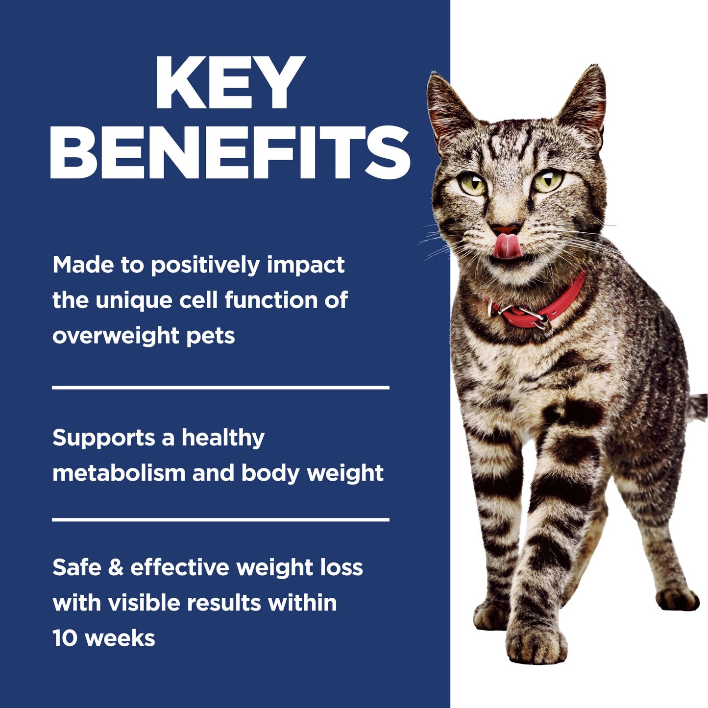Hill's Science Diet Perfect Weight Adult Dry Cat Food