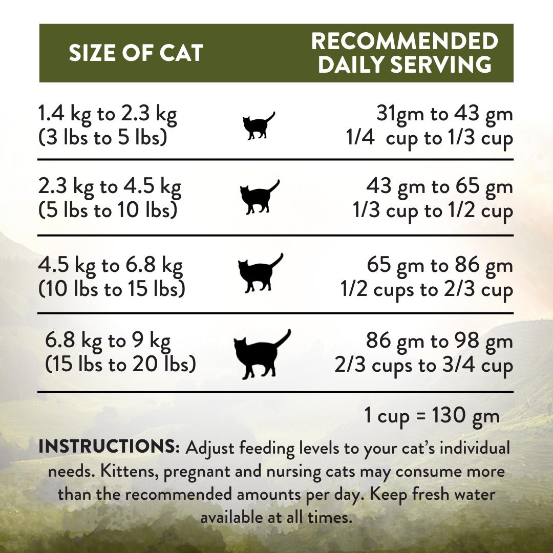 Addiction Wild Islands Highland Meats High Protein Dry Cat Food