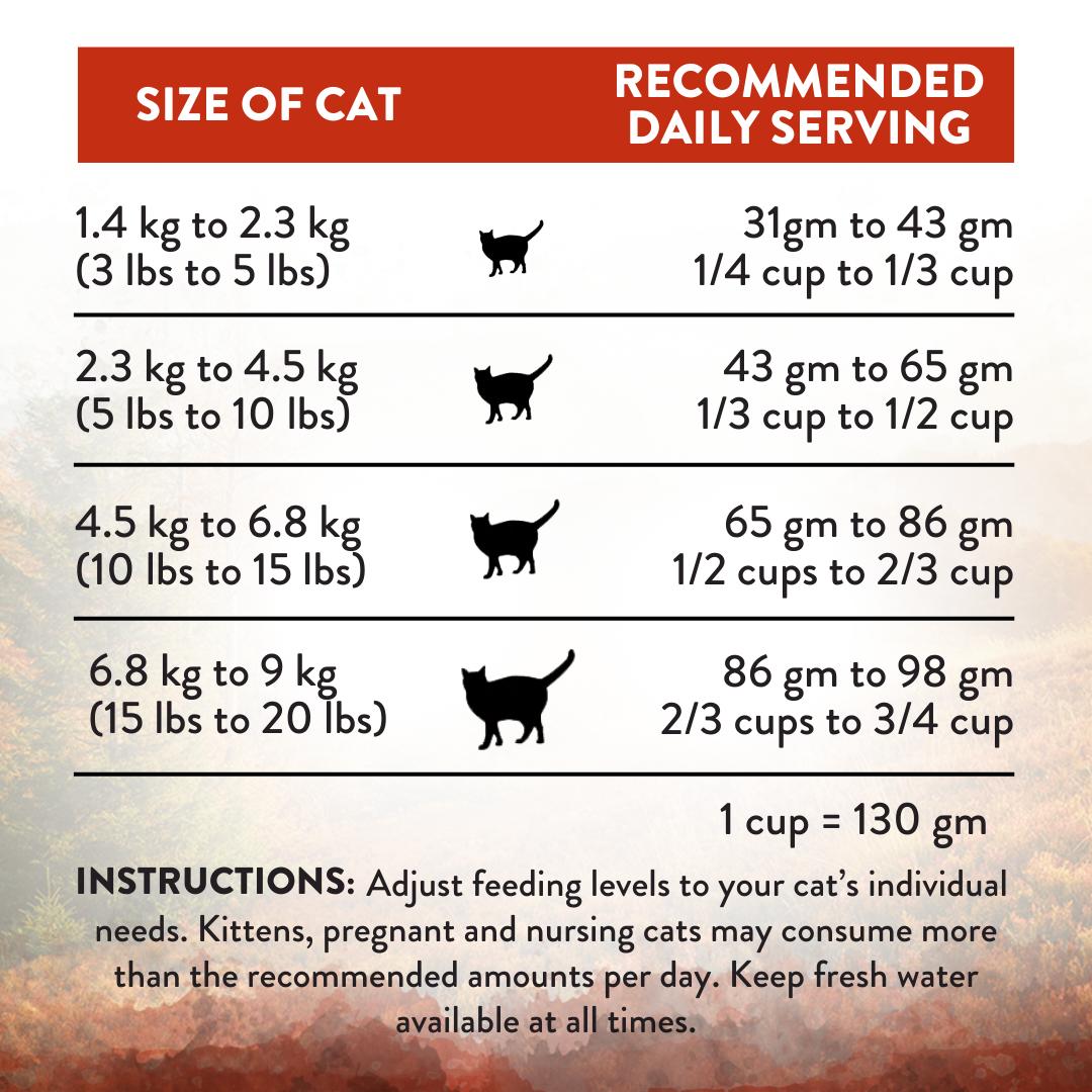 Addiction Wild Islands Forest Meat Venison Dry Cat Food