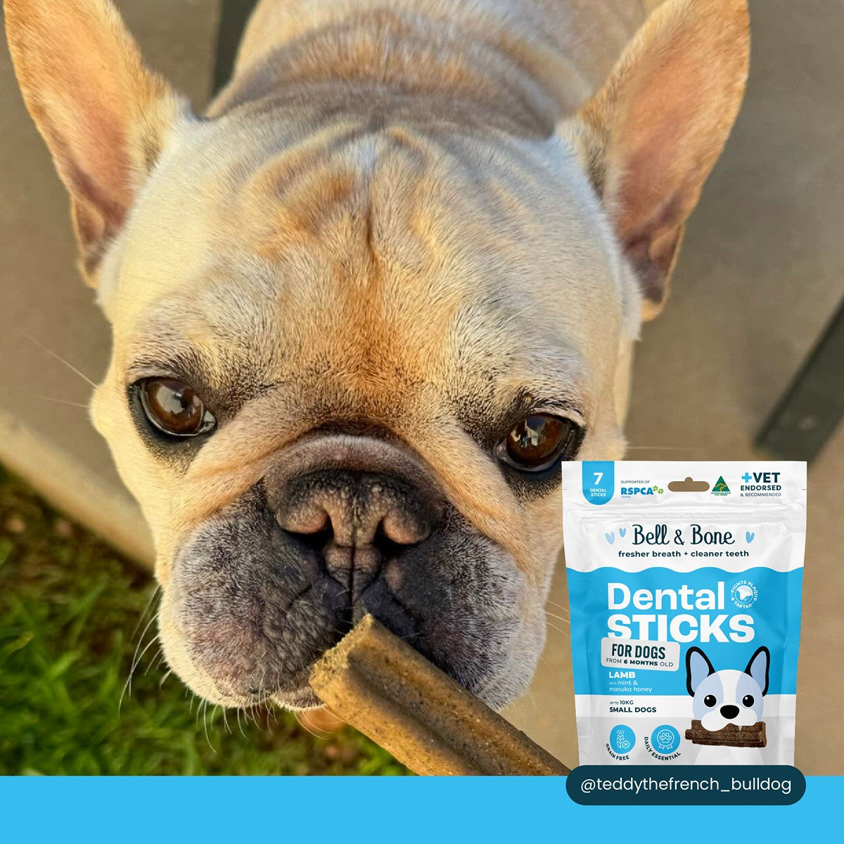 Bell & Bone Lamb, Mint & Manuka Honey Dental Sticks Dog Treats