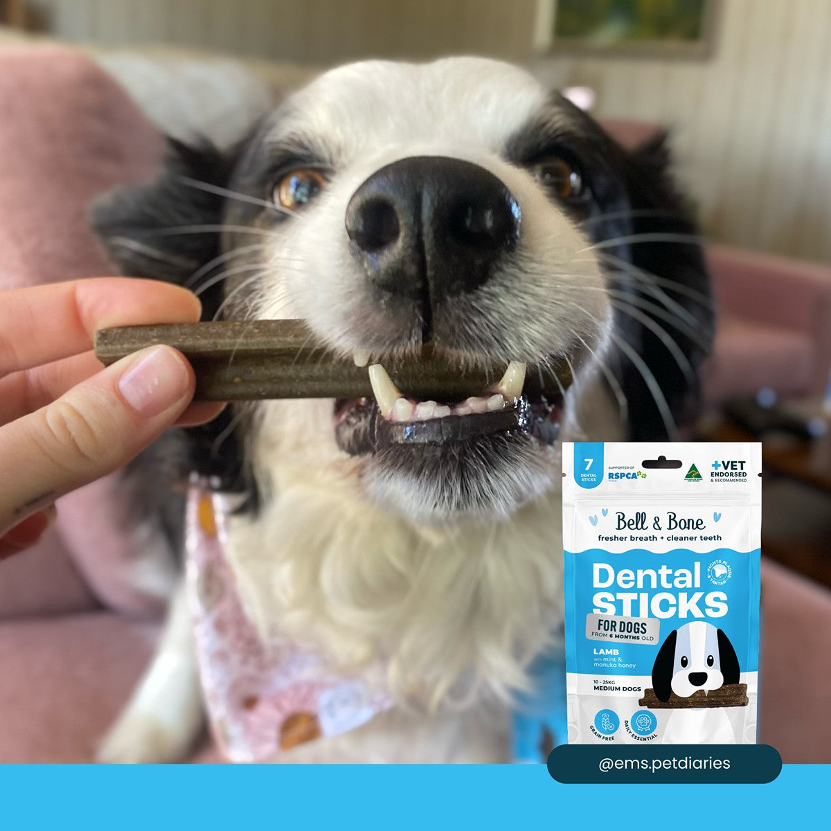 Bell & Bone Lamb, Mint & Manuka Honey Dental Sticks Dog Treats
