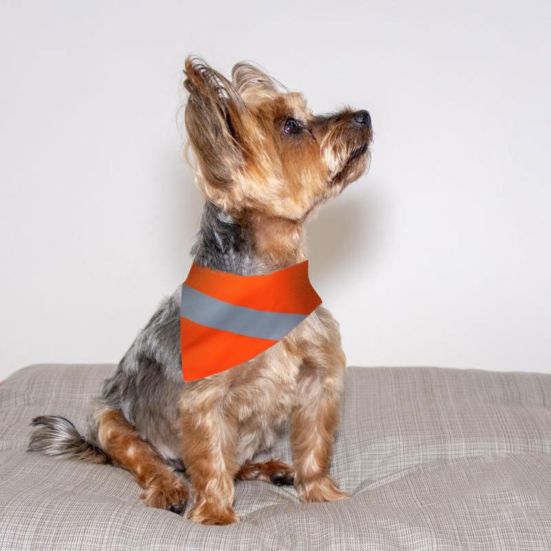 Nana Jill's Reflective Bandana