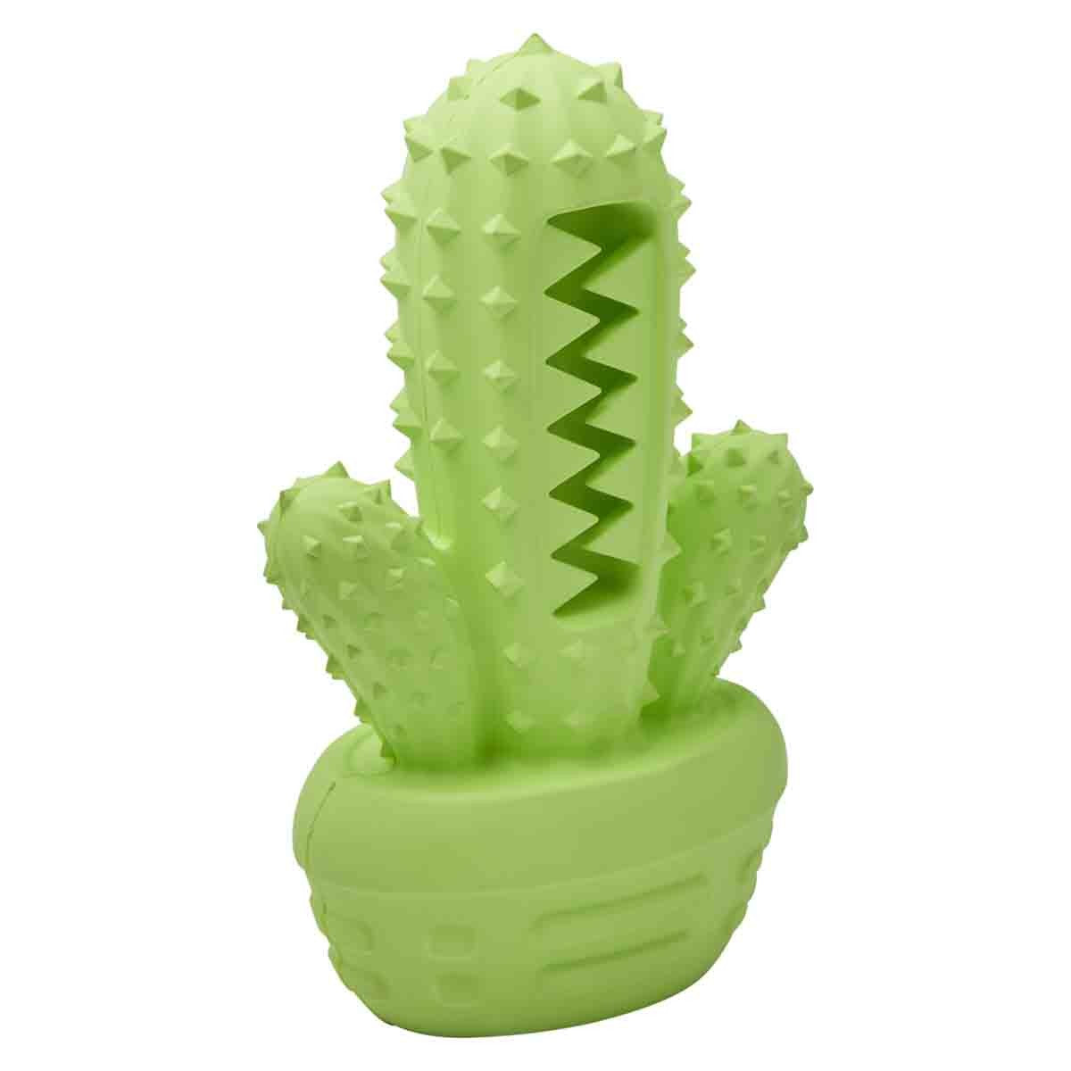 Lexi & Me Dental Rubber Cactus Toy