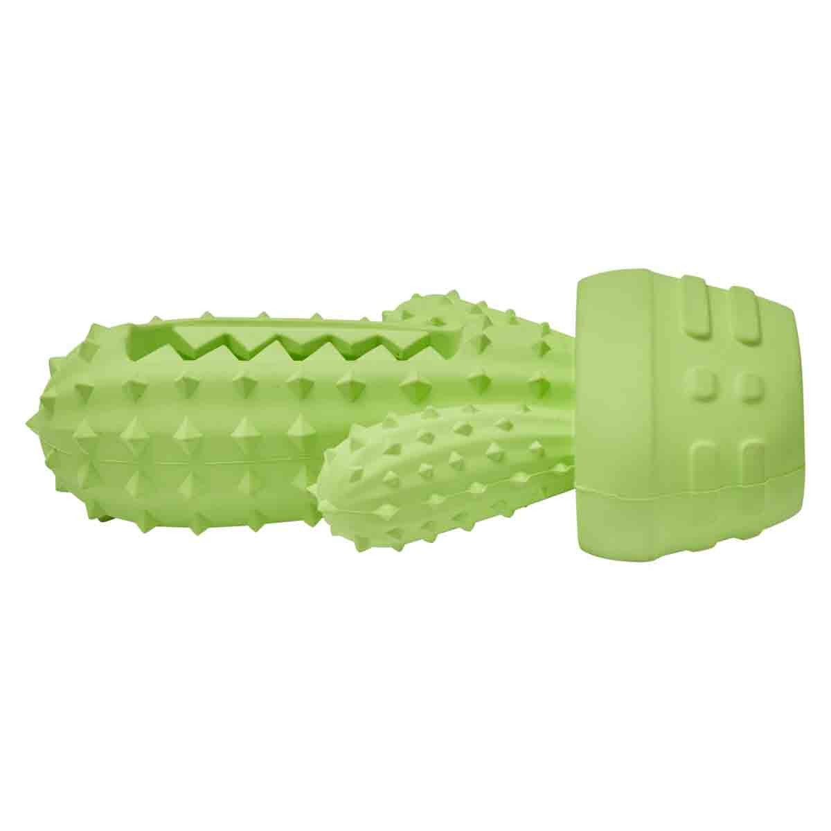 Lexi & Me Dental Rubber Cactus Toy