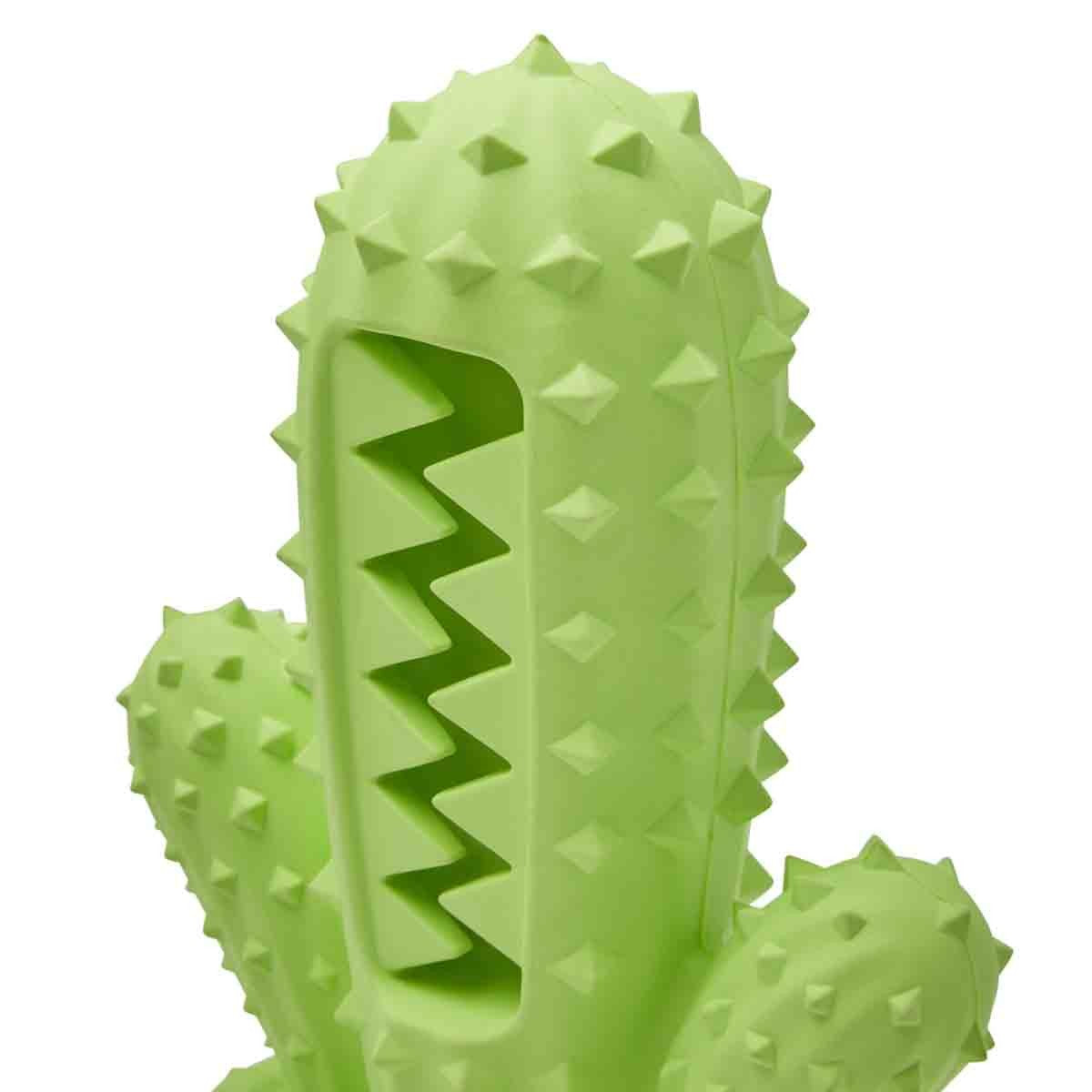 Lexi & Me Dental Rubber Cactus Toy