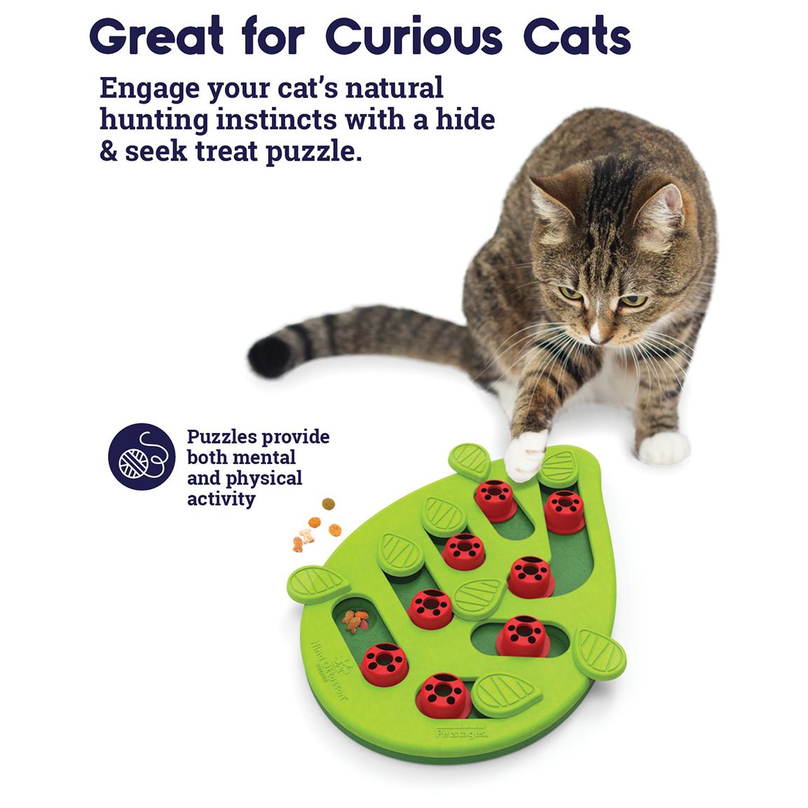 Nina Ottosson Buggin Out Interactive Cat Treat Puzzle