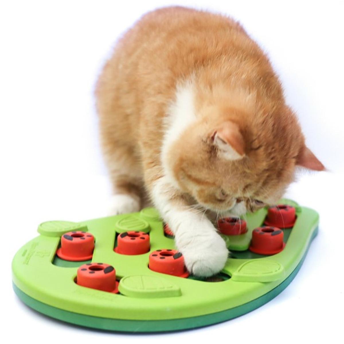 Nina Ottosson Buggin Out Interactive Cat Treat Puzzle
