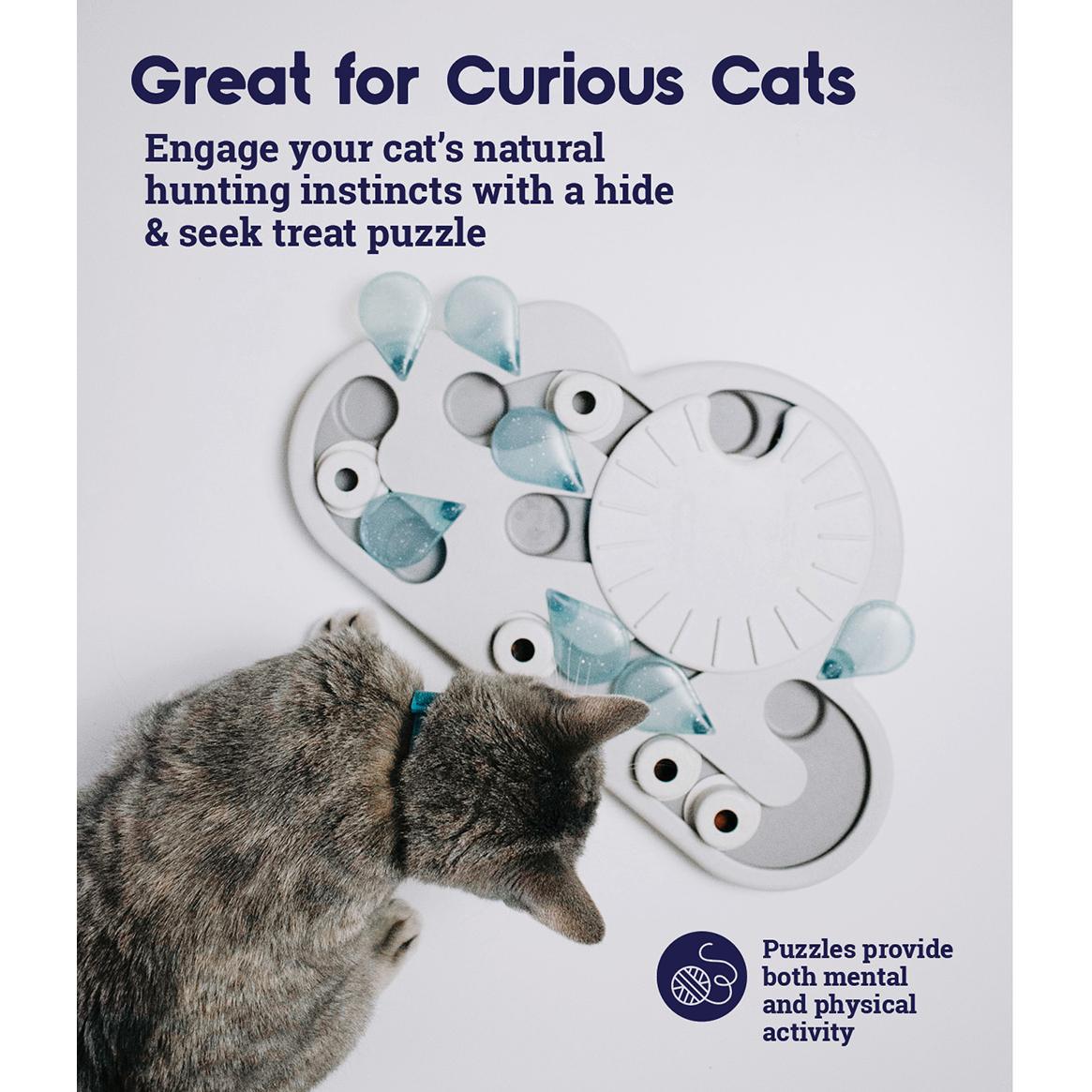 Nina Ottosson Rainy Day Interactive Cat Treat Puzzle