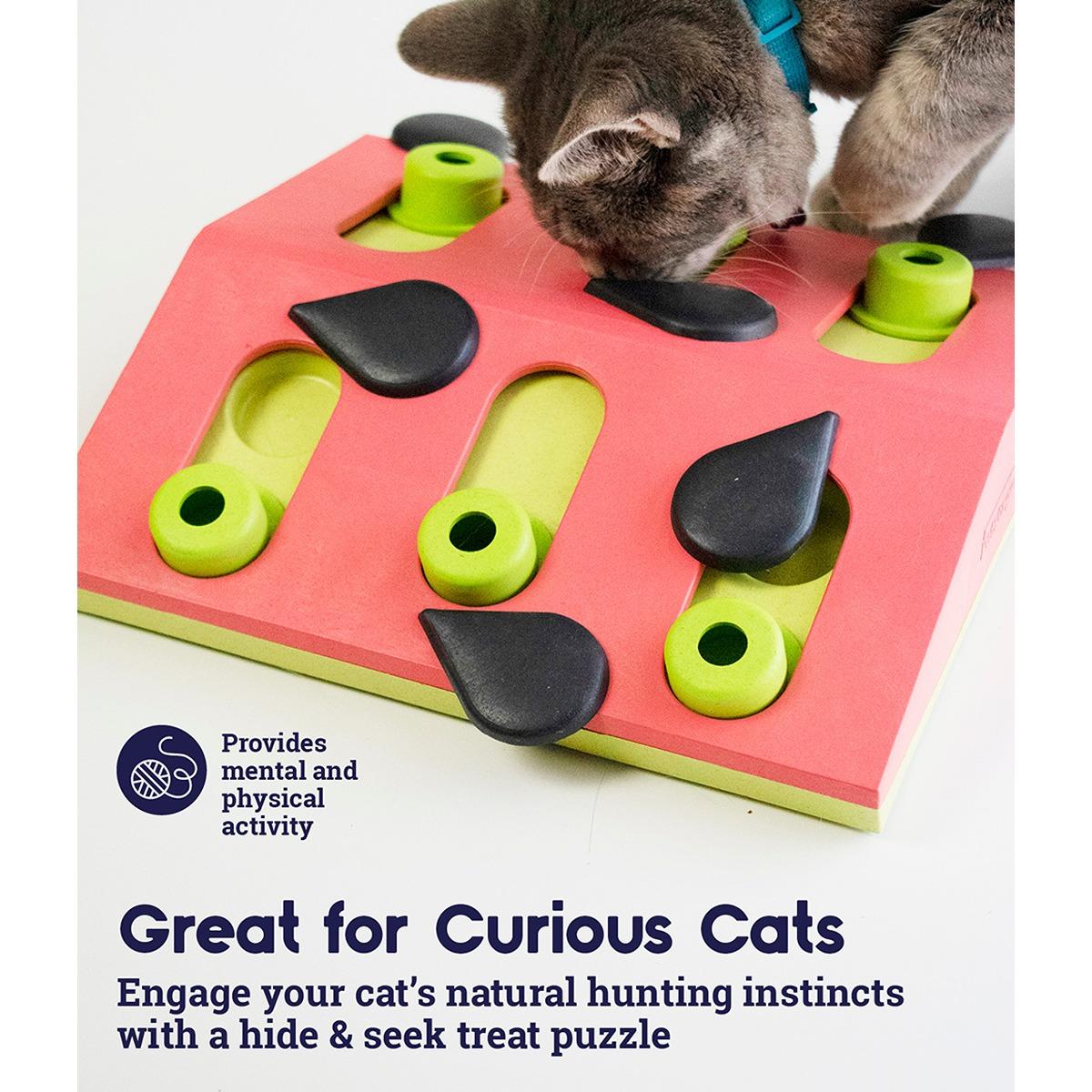 Nina Ottosson Melon Madness Interactive Cat Puzzle