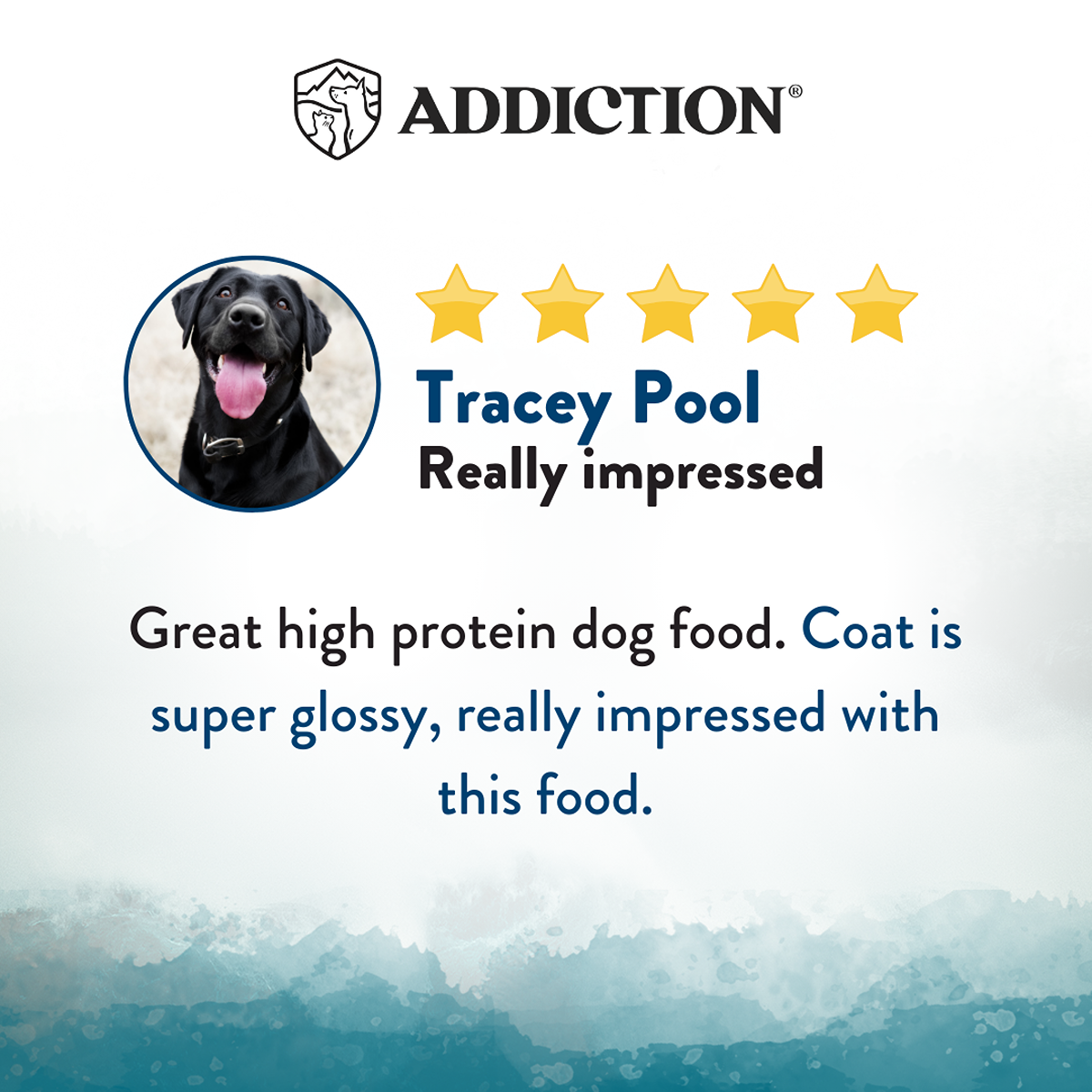 Addiction Wild Islands NZ Pacific Catch Dry Dog Food