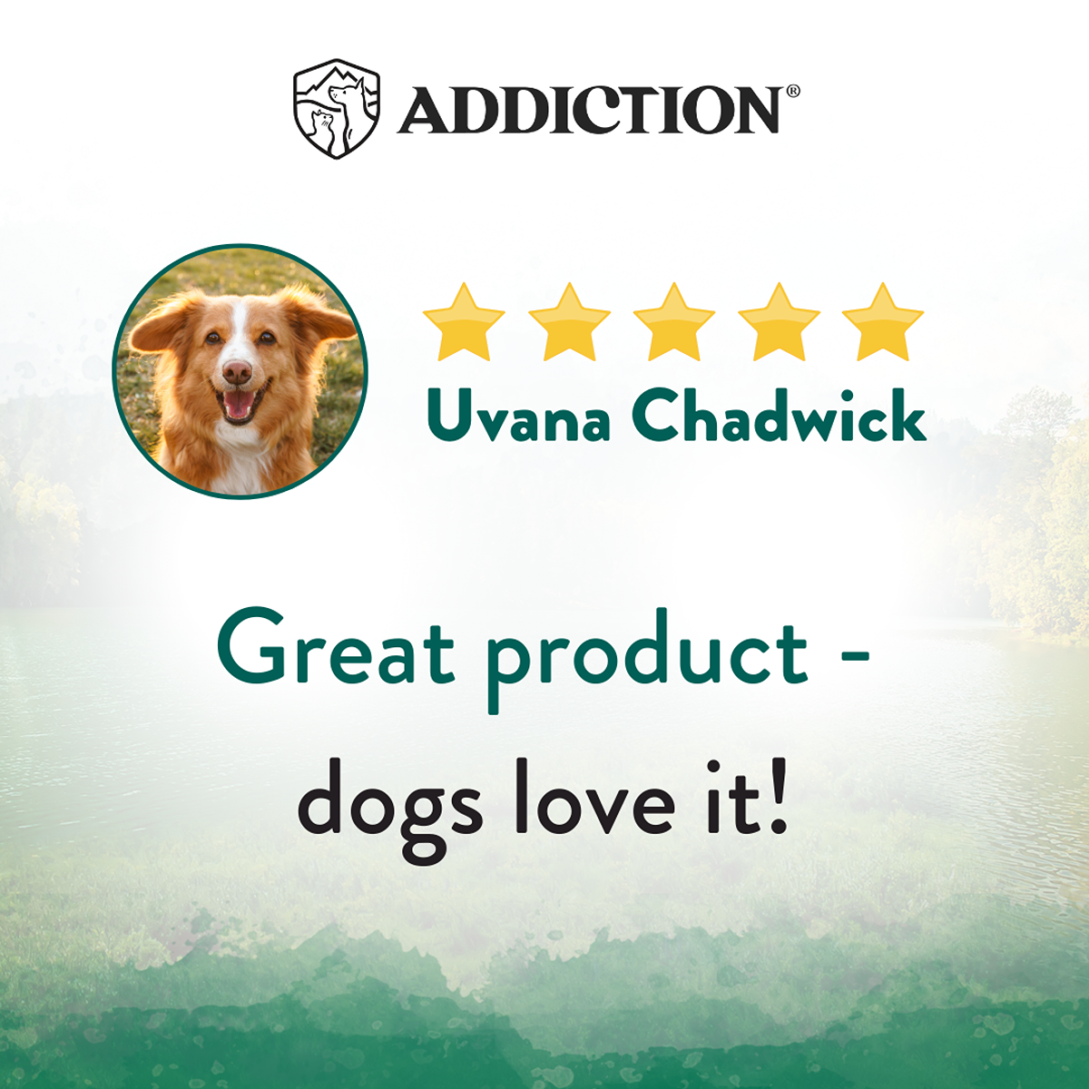 Addiction Wild Islands NZ Island Birds Dry Dog Food