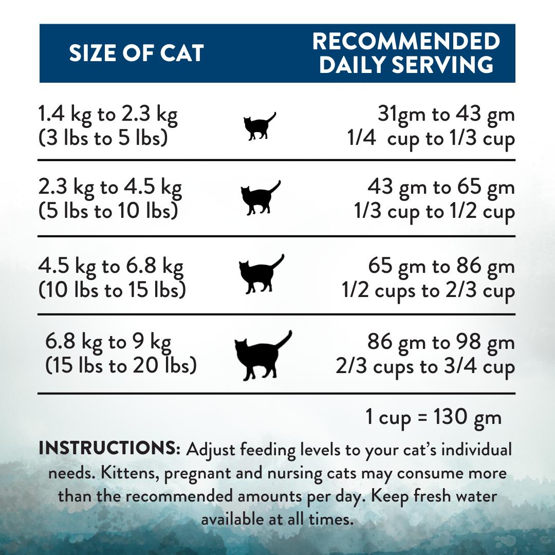 Addiction Wild Islands NZ Pacific Catch Dry Cat Food