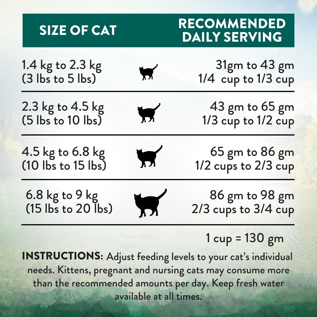 Addiction Wild Islands NZ Island Birds Dry Cat Food