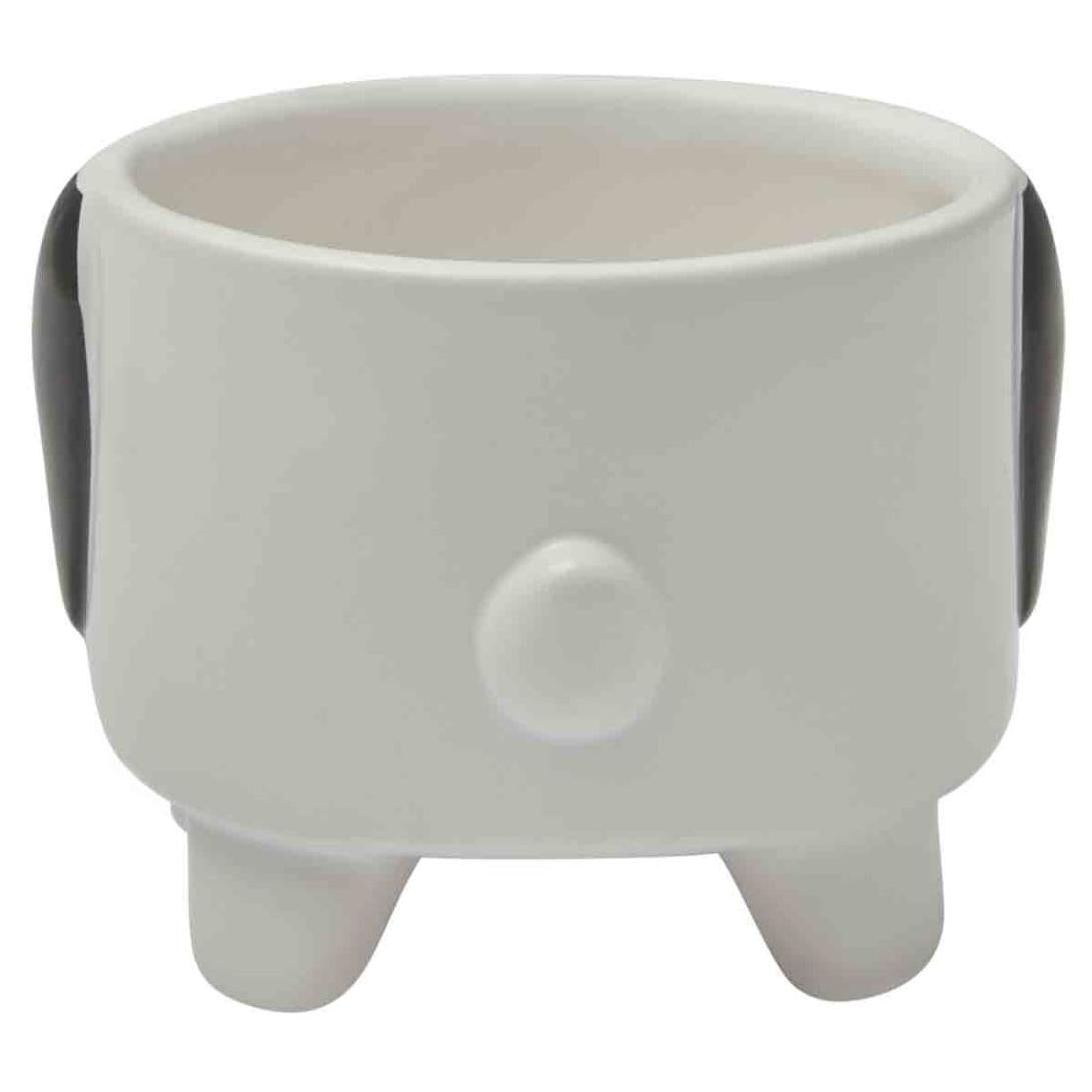 Petstock Foundation Dog Planter