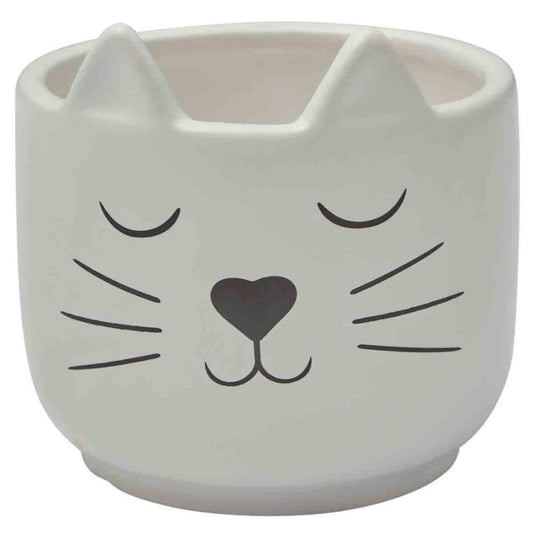 Petstock Foundation Cat Planter