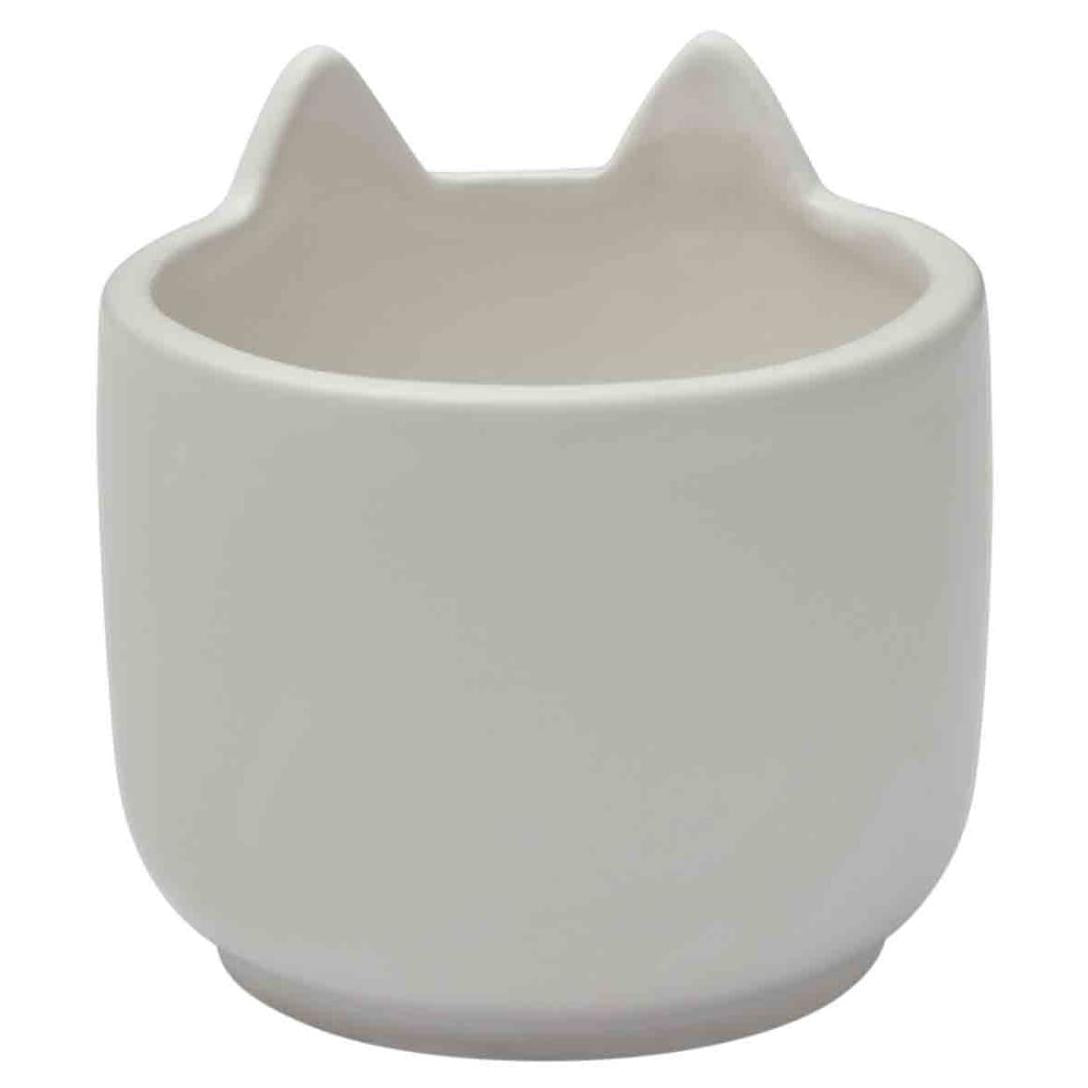 Petstock Foundation Cat Planter