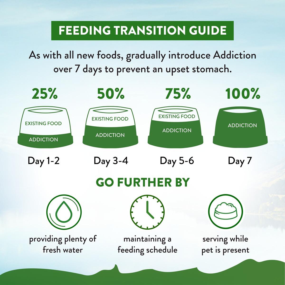 Addiction Zen Vegetarian Vegan Dry Dog Food