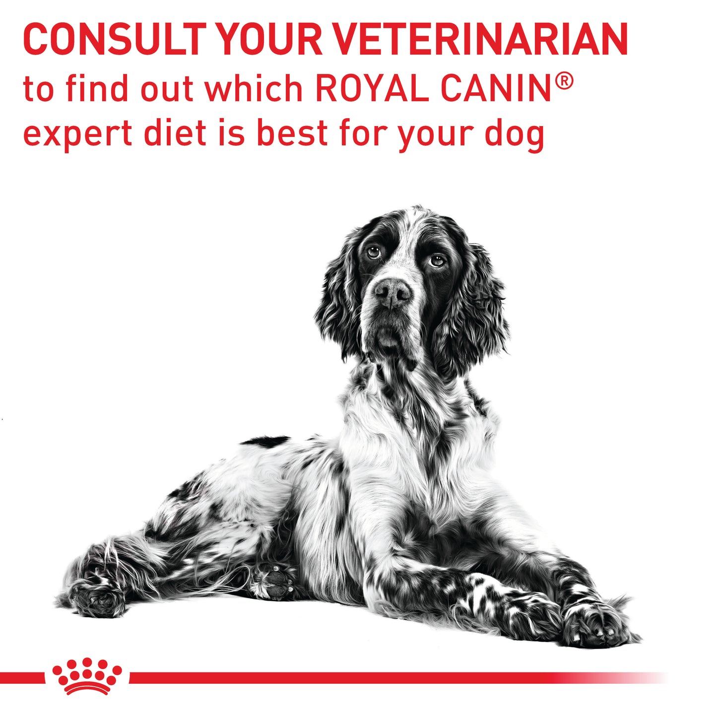 Royal Canin Vet Canine Neutered Adult Medium Dry Dog Food
