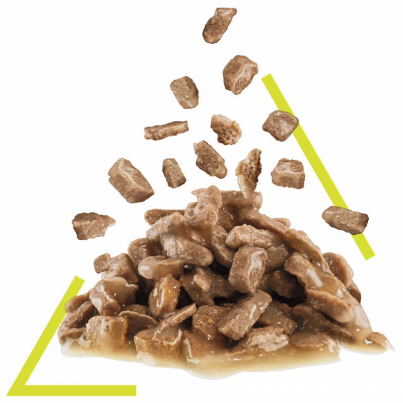Royal Canin Sensory Smell in Gravy Wet Cat Food
