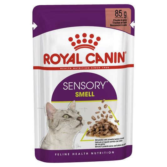 Royal Canin Sensory Smell in Gravy Wet Cat Food