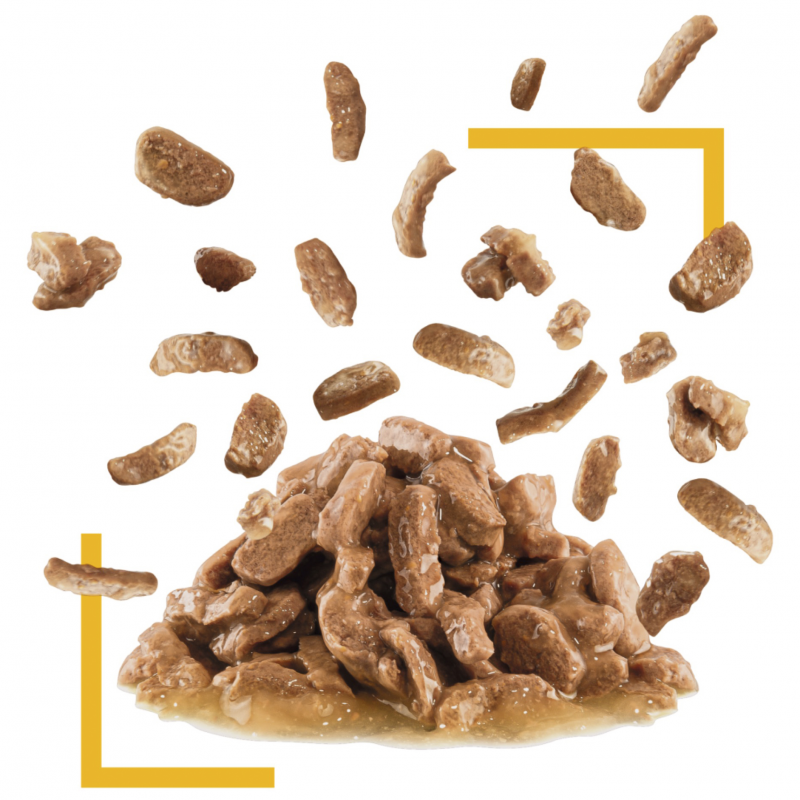 Royal Canin Sensory Taste in Gravy Wet Cat Food