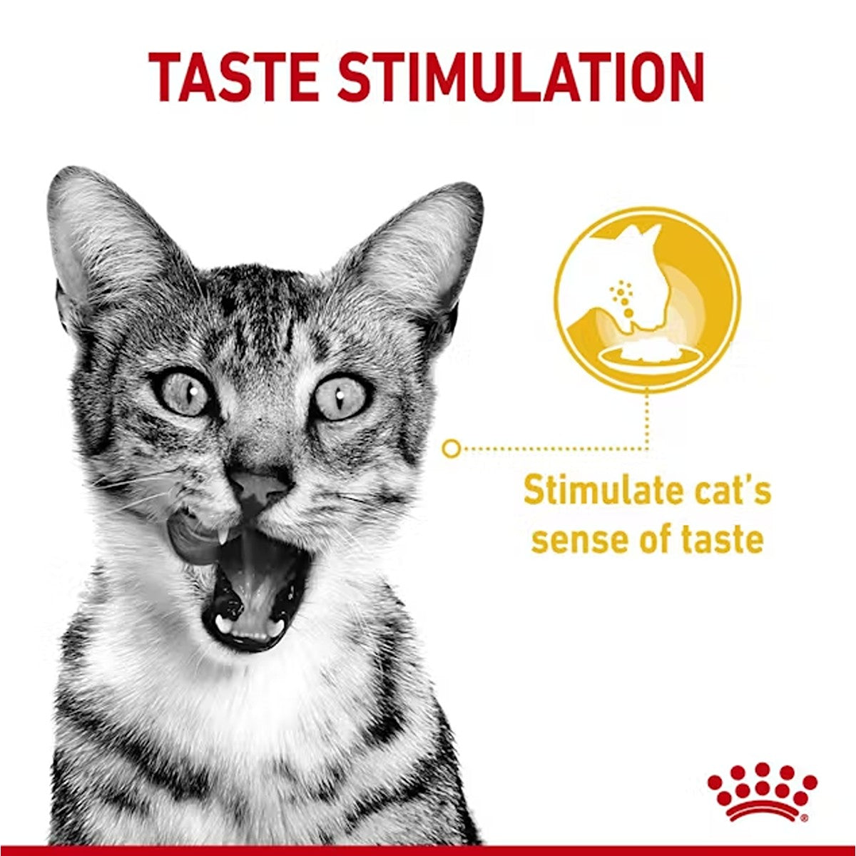 Royal Canin Sensory Taste in Gravy Wet Cat Food