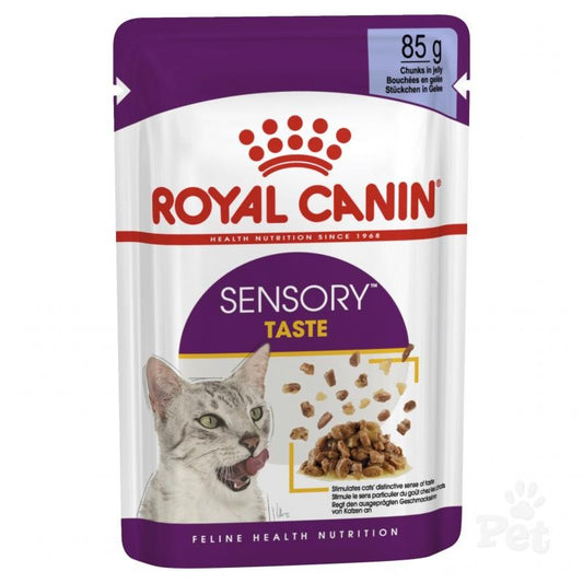 Royal Canin Sensory Taste in Jelly Wet Cat Food