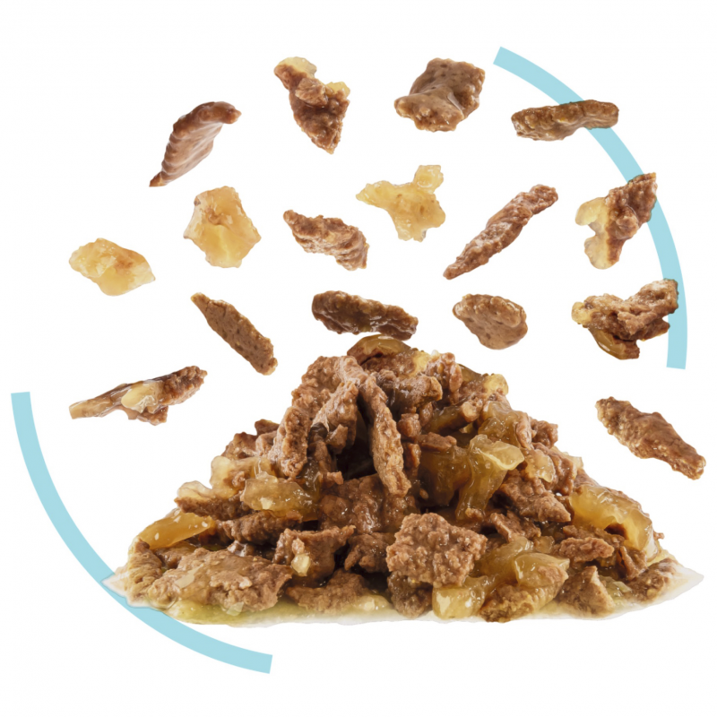 Royal Canin Sensory Feel in Jelly Wet Cat Food