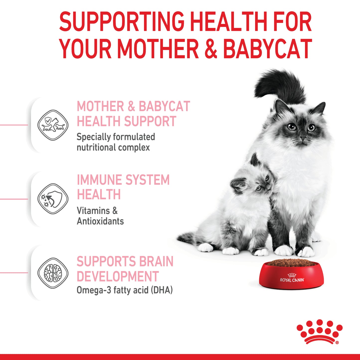 Royal Canin Mother & Baby Cat Dry Cat Food