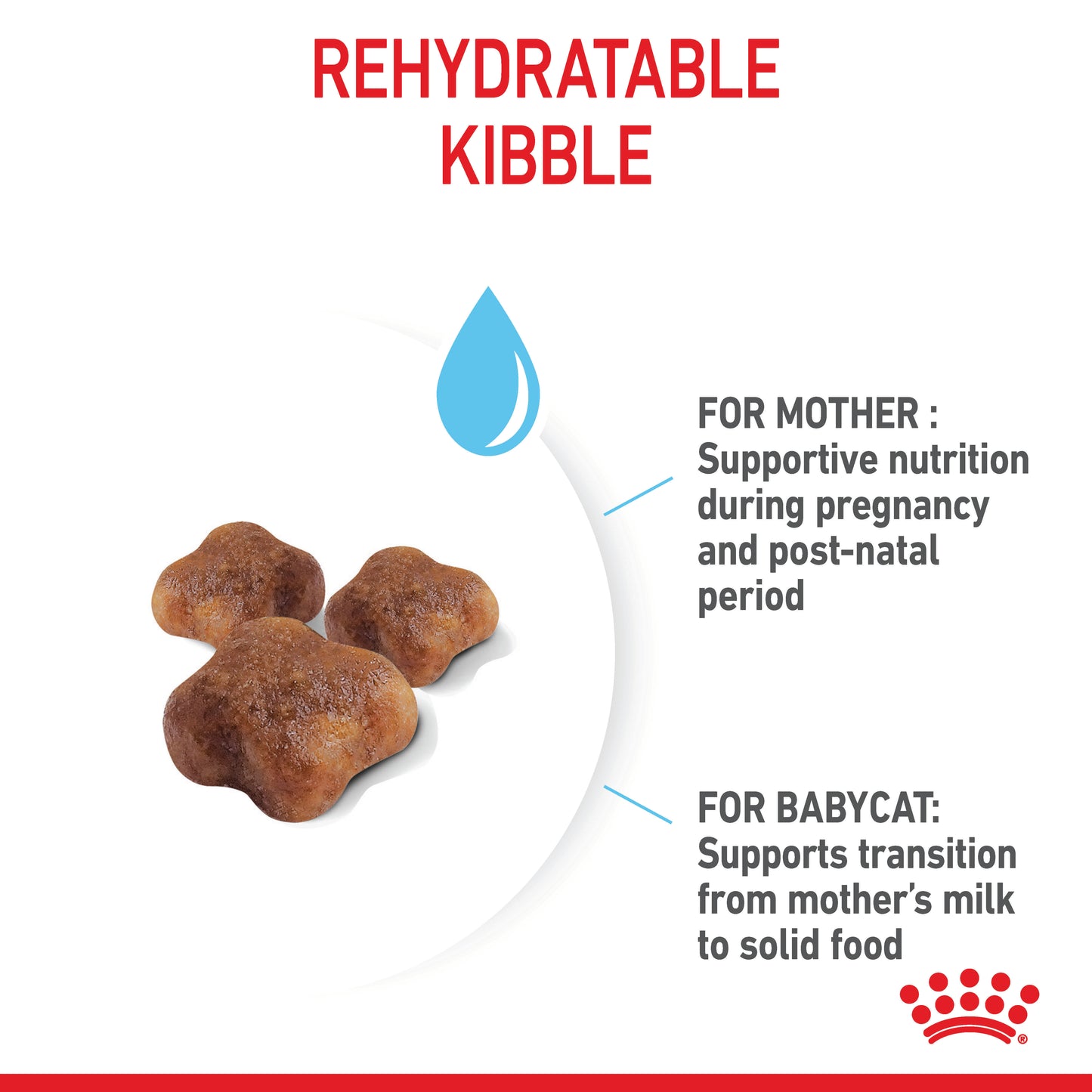 Royal Canin Mother & Baby Cat Dry Cat Food