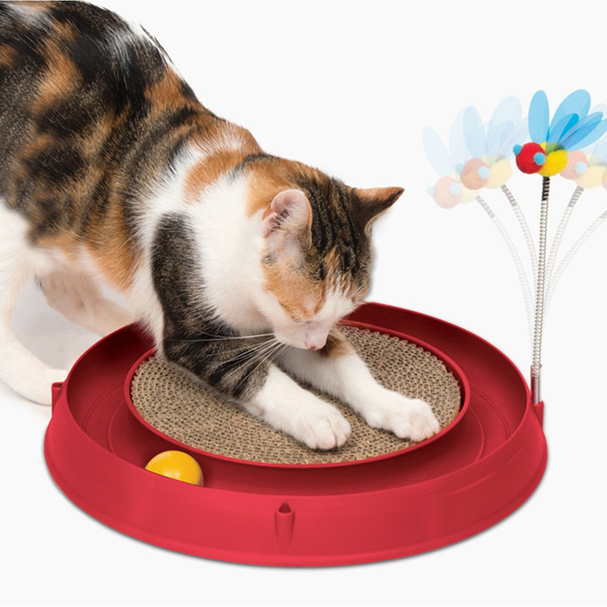 Catit Play & Scratch Cat Toy