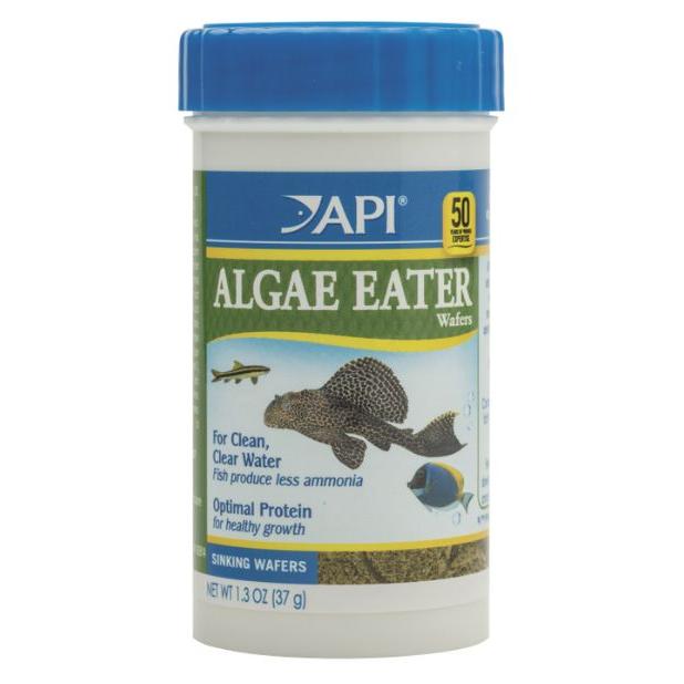 API Algae Eater Wafers