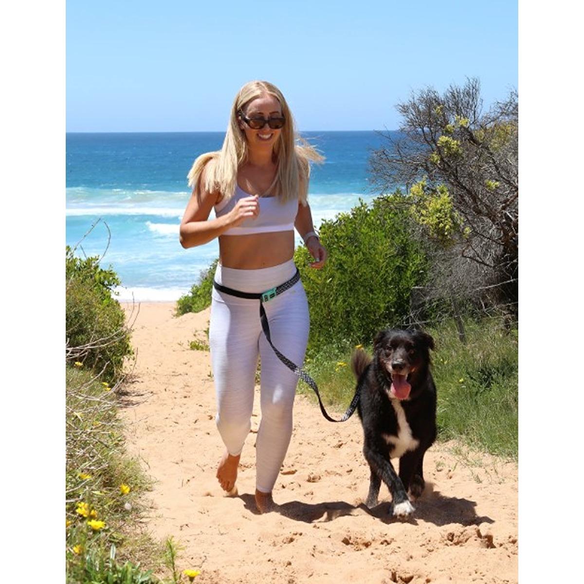 DOOG Neoprene Clip It Dog Leash Pongo