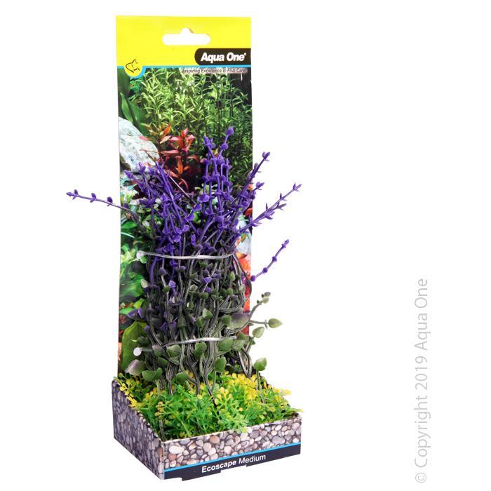 Aqua One Medium Bladderwort