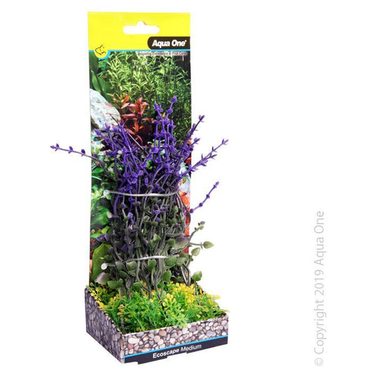 Aqua One Medium Bladderwort