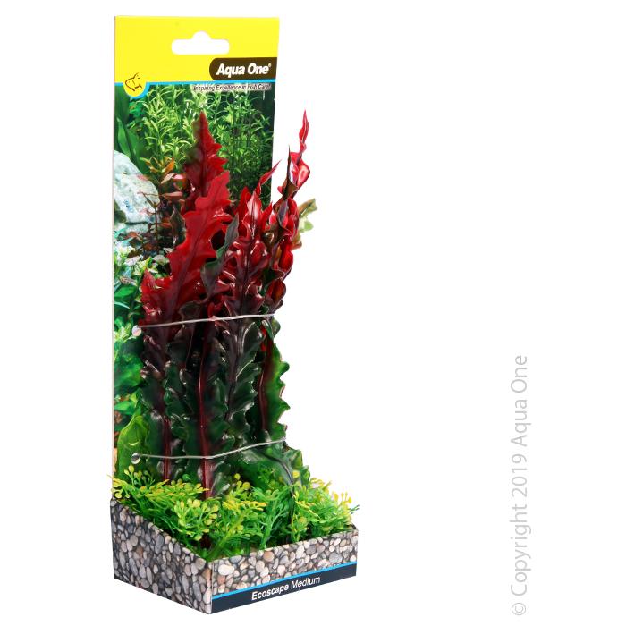 Aqua One Ecoscape Medium Rufled Lace Plant