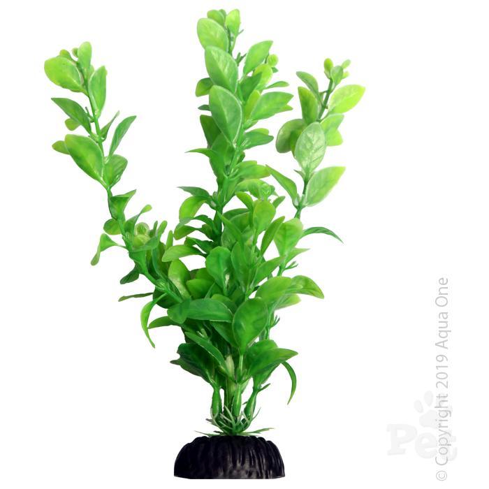 Aqua One Medium Poly Hygro