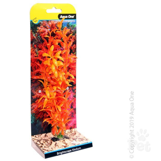 Aqua One Brightscape Medium Ludwigia
