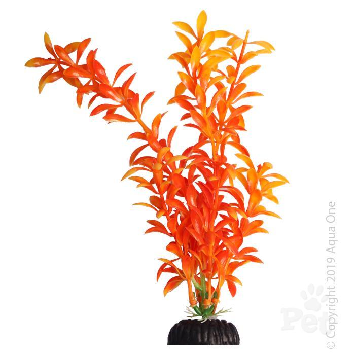 Aqua One Brightscape Medium Ludwigia