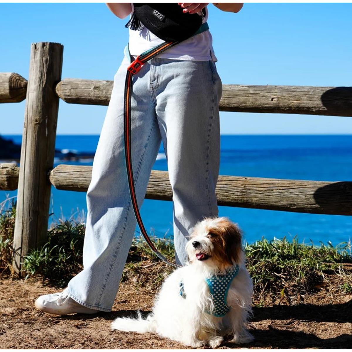 DOOG Clip It Neoprene Dog Leash Beethoven