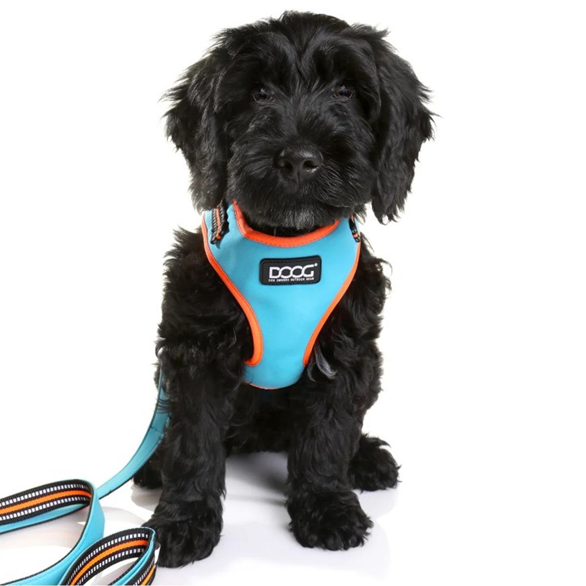 DOOG Neoflex Soft Dog Harness Beethoven