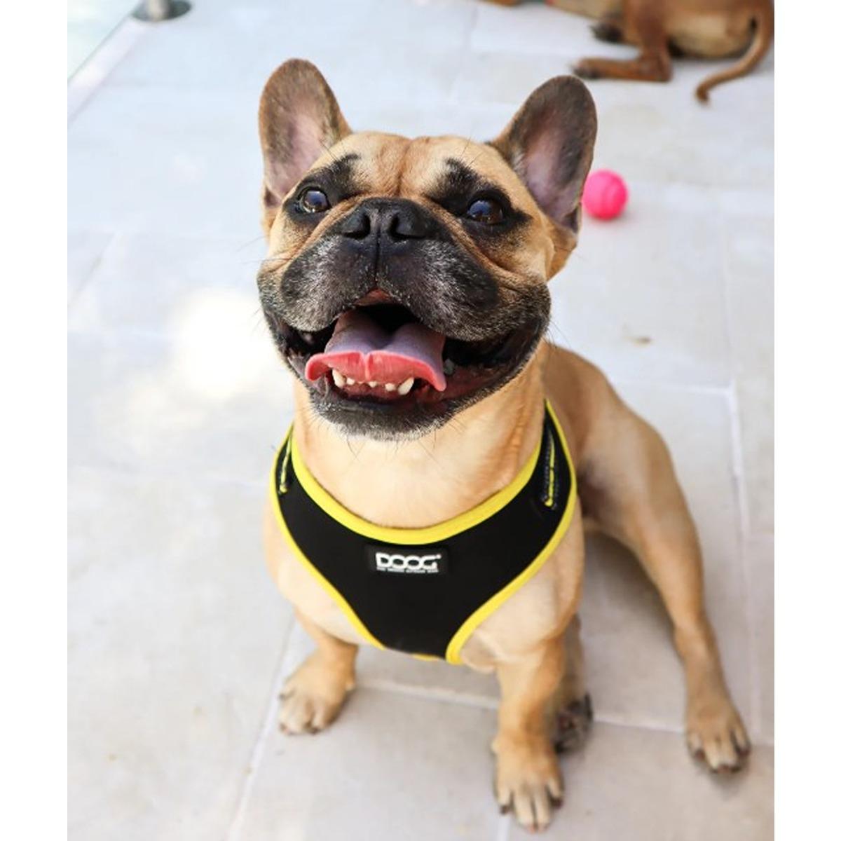 DOOG Neoflex Soft Dog Harness Bolt