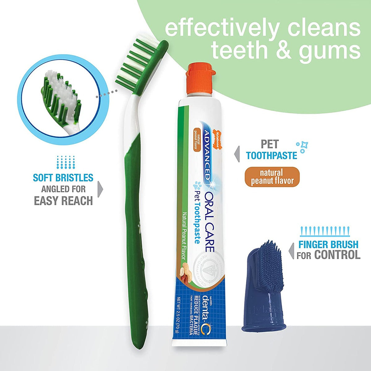 Nylabone Advanced Oral Care Dental Kit Peanut Flavour