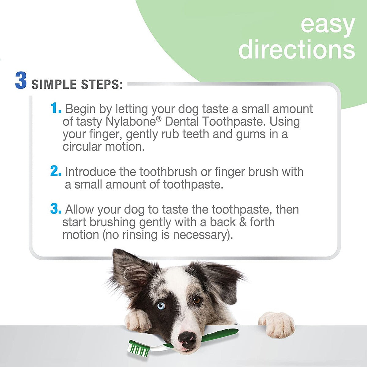 Nylabone Advanced Oral Care Dental Kit Peanut Flavour