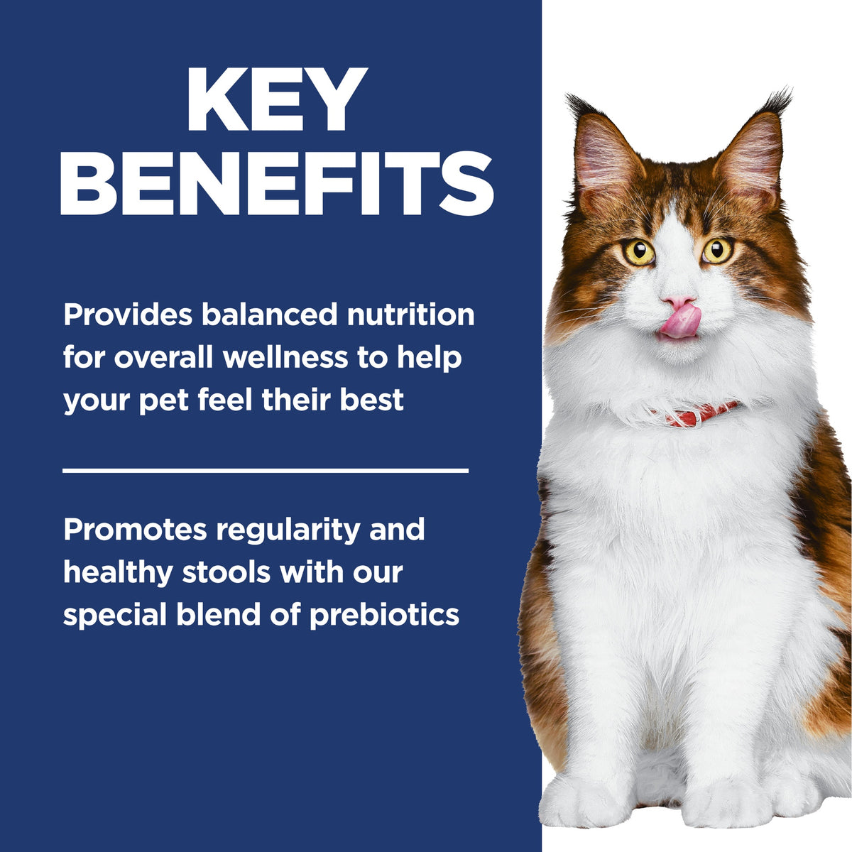 Hill's Science Diet Perfect Digestion Dry Adult Cat Food