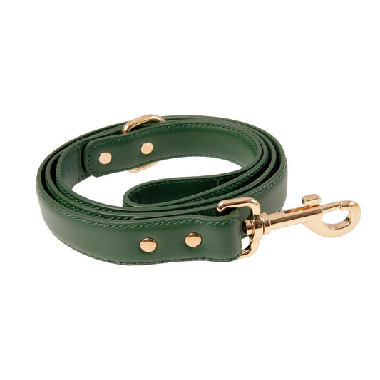 Buddy & Belle Bottle Green Leather Dog Lead