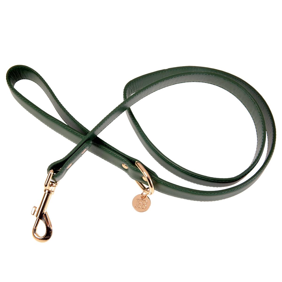 Buddy & Belle Bottle Green Leather Dog Lead
