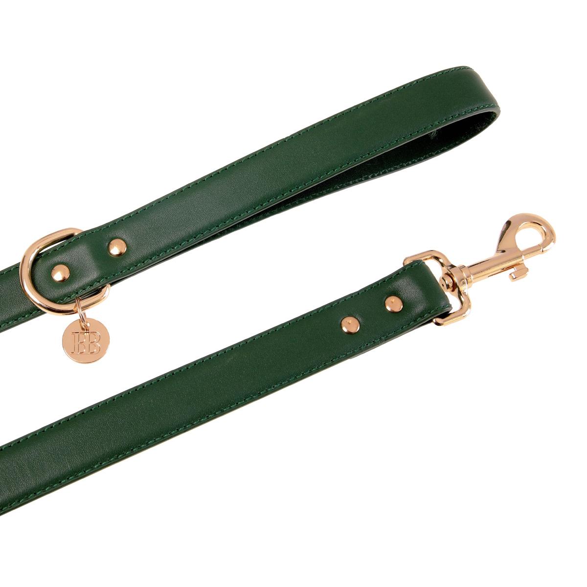 Buddy & Belle Bottle Green Leather Dog Lead