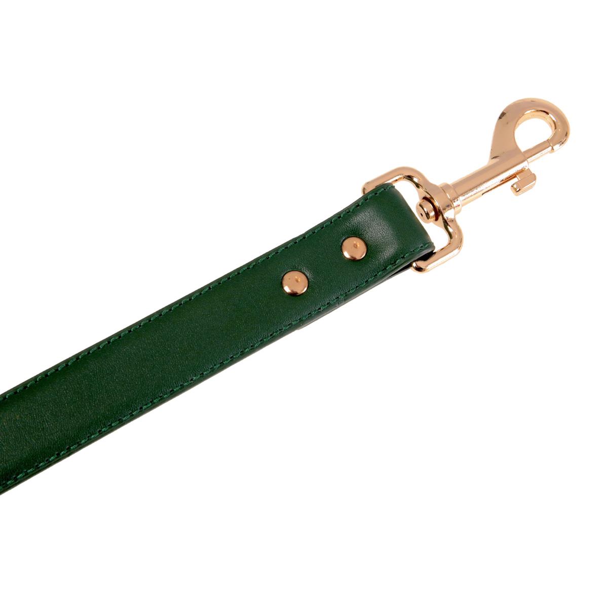 Buddy & Belle Bottle Green Leather Dog Lead