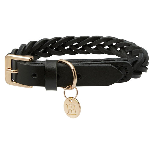 Buddy & Belle Braided Leather Dog Collar